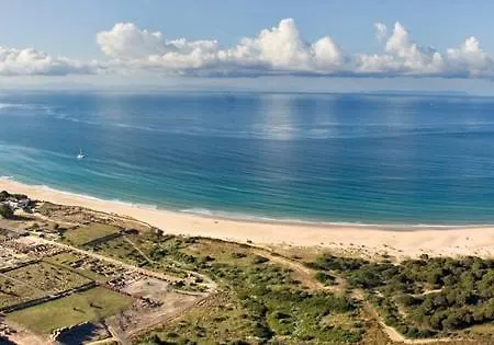 Palo Cortao *