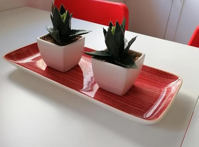 아파트 Palo Cortao *