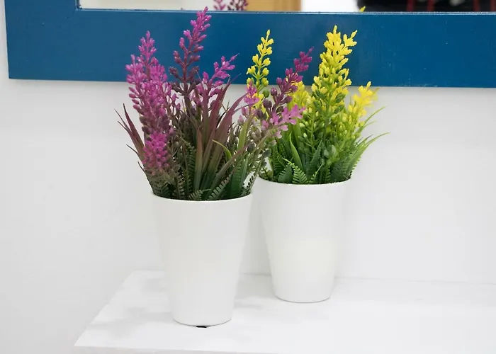 Palo Cortao 아파트 *